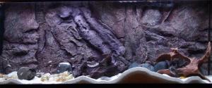 3d Diy Aquarium Background